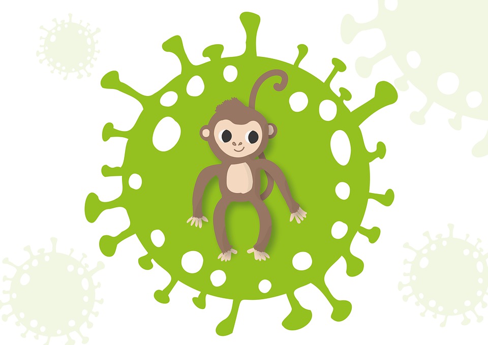What is Monkey Pox Virus?, Symptoms, Treatment and Prevention - Information in Hindi
