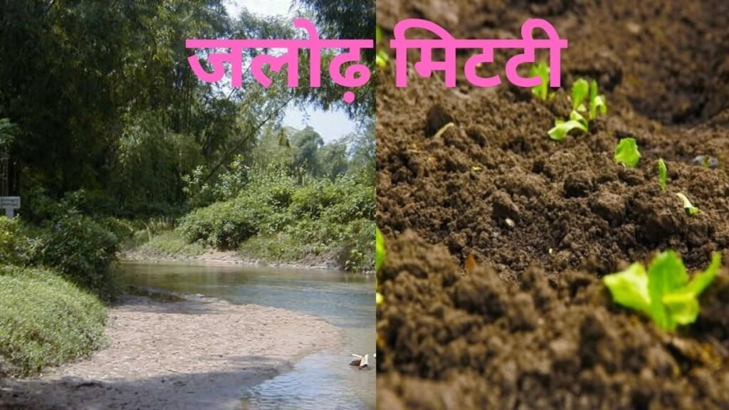 जलोढ़ मिटटी